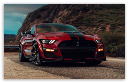 Red Ford Mustang Shelby GT500 Muscle Car UltraHD Wallpaper for UHD 16:9 ; HD 16:9 ; UltraWide 21:9 24:10 32:10 ; Widescreen 16:10 5:3 ; Fullscreen 4:3 5:4 3:2 ; Dual 16:10 5:3 4:3 5:4 3:2 ;