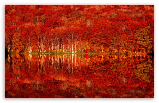 Red Forest Reflected in Red Lake UltraHD Wallpaper for UHD 16:9 2160p 1440p 1080p 900p 720p ; 8K UHD TV 16:9 Ultra High Definition 2160p 1440p 1080p 900p 720p ; UltraWide 21:9 24:10 32:9 32:10 ; Widescreen 16:10 5:3 WHXGA WQXGA WUXGA WXGA WGA ; Fullscreen 4:3 5:4 3:2 UXGA XGA SVGA QSXGA SXGA DVGA HVGA HQVGA ( Apple PowerBook G4 iPhone 4 3G 3GS iPod Touch ) ; Tablet 1:1 ; Mobile 9:16 2:3 3:5 3:4 - ; Dual 16:10 5:3 16:9 4:3 5:4 3:2 WHXGA WQXGA WUXGA WXGA WGA 2160p 1440p 1080p 900p 720p UXGA XGA SVGA QSXGA SXGA DVGA HVGA HQVGA ( Apple PowerBook G4 iPhone 4 3G 3GS iPod Touch ) ;