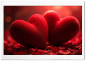 Red Hearts On Petals 4K UHD Wallpaper for Widescreen and UltraWide Desktop, UltraHD TV, Smartphone, Tablet
