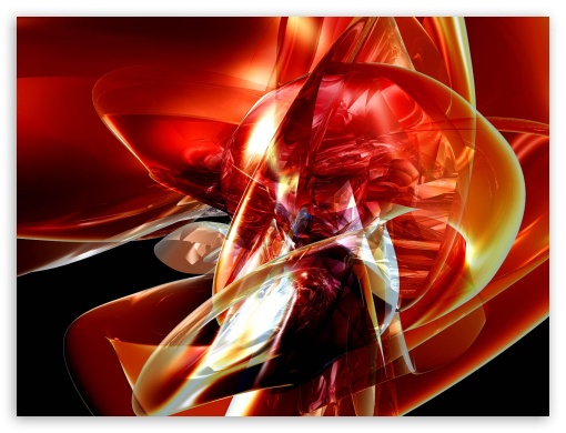 red knot UltraHD Wallpaper for Fullscreen 4:3 ;