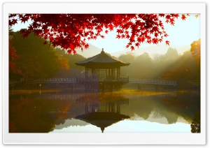 Red Maple Leaves, Still Water, Autumn Scenery 4K UHD Wallpaper for Widescreen and UltraWide Desktop, UltraHD TV, Smartphone, Tablet