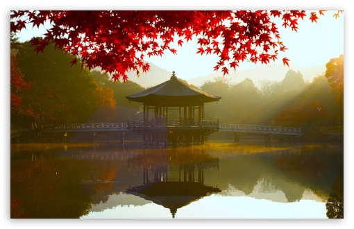 Red Maple Leaves, Still Water, Autumn Scenery UltraHD Wallpaper for UHD 16:9 ; HD 16:9 ; UltraWide 21:9 24:10 ; Widescreen 16:10 5:3 ; Fullscreen 4:3 5:4 3:2 ; Tablet 1:1 ; Mobile 9:16 9:19.5 9:20 9:21 9:22 10:16 2:3 3:5 3:4 ; Dual 4:3 5:4 3:2 ;