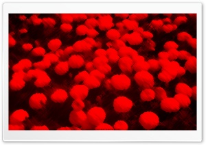 Red Marigolds Painting Ultra HD Wallpaper for 4K UHD Widescreen desktop, tablet & smartphone