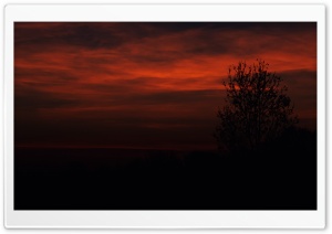 Red November Evening Ultra HD Wallpaper for 4K UHD Widescreen desktop, tablet & smartphone