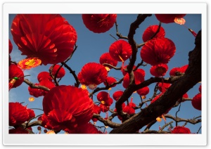 Red Paper Lanterns Tree Ultra HD Wallpaper for 4K UHD Widescreen desktop, tablet & smartphone