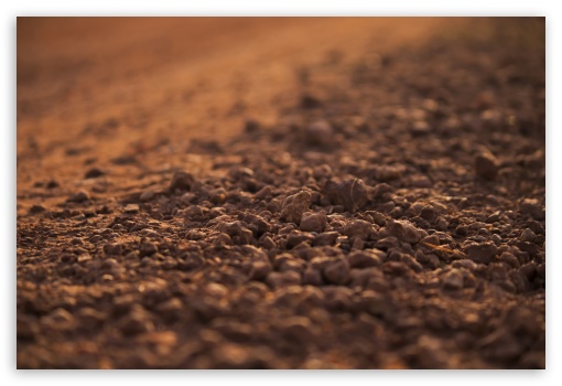 Red pebbles UltraHD Wallpaper for Fullscreen 3:2 ;