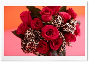 Red Roses Bouquet, Leopard Print Ribbon Ultra HD Wallpaper for 4K UHD Widescreen desktop, tablet & smartphone
