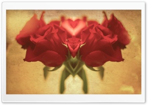 Red Roses Heart Ultra HD Wallpaper for 4K UHD Widescreen desktop, tablet & smartphone