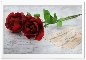 Red Roses, Tickets Ultra HD Wallpaper for 4K UHD Widescreen desktop, tablet & smartphone