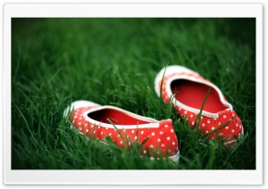 Red Shoes In Green Grass Ultra HD Wallpaper for 4K UHD Widescreen desktop, tablet & smartphone