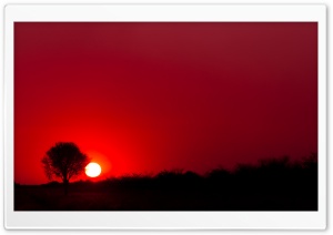 Red Sunset, Botswana, Africa Ultra HD Wallpaper for 4K UHD Widescreen desktop, tablet & smartphone