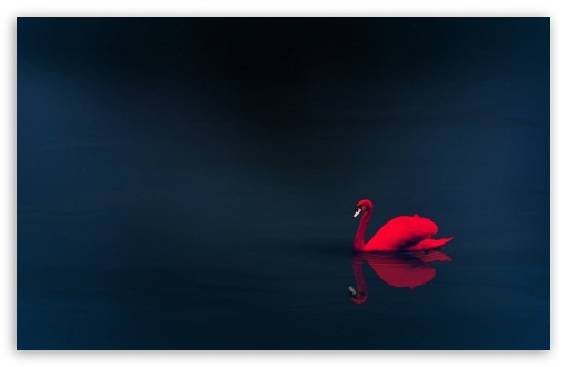 HD swan love wallpapers | Peakpx