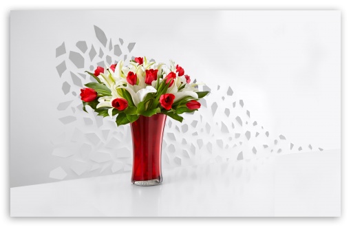 Red Tulips and White Lilies Flowers  In A Vase UltraHD Wallpaper for Wide 16:10 5:3 Widescreen WHXGA WQXGA WUXGA WXGA WGA ; 8K UHD TV 16:9 Ultra High Definition 2160p 1440p 1080p 900p 720p ; UHD 16:9 2160p 1440p 1080p 900p 720p ; Standard 4:3 5:4 3:2 Fullscreen UXGA XGA SVGA QSXGA SXGA DVGA HVGA HQVGA ( Apple PowerBook G4 iPhone 4 3G 3GS iPod Touch ) ; Smartphone 3:2 5:3 DVGA HVGA HQVGA ( Apple PowerBook G4 iPhone 4 3G 3GS iPod Touch ) WGA ; Tablet 1:1 ; iPad 1/2/Mini ; Mobile 4:3 5:3 3:2 16:9 5:4 - UXGA XGA SVGA WGA DVGA HVGA HQVGA ( Apple PowerBook G4 iPhone 4 3G 3GS iPod Touch ) 2160p 1440p 1080p 900p 720p QSXGA SXGA ; Dual 16:10 5:3 16:9 4:3 5:4 WHXGA WQXGA WUXGA WXGA WGA 2160p 1440p 1080p 900p 720p UXGA XGA SVGA QSXGA SXGA ;