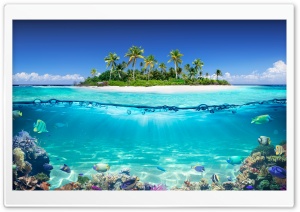 Reef, Tropical Fish, Underwater, Island, Sea, Summer 4K UHD Wallpaper for Widescreen and UltraWide Desktop, UltraHD TV, Smartphone, Tablet