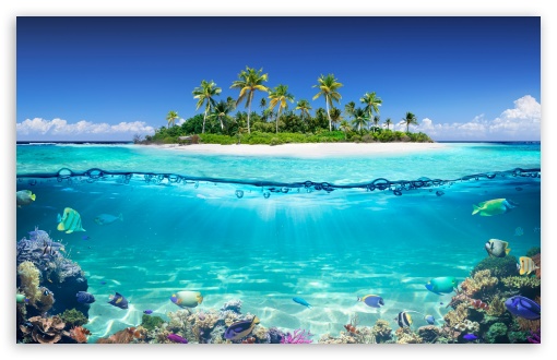 Reef, Tropical Fish, Underwater, Island, Sea, Summer UltraHD Wallpaper for UHD 16:9 ; HD 16:9 ; UltraWide 21:9 24:10 32:9 32:10 ; Widescreen 16:10 5:3 ; Fullscreen 4:3 5:4 3:2 ; Tablet 1:1 ; Mobile 9:16 9:19.5 9:20 9:21 9:22 10:16 2:3 3:5 3:4 ; Dual 16:10 5:3 16:9 4:3 5:4 3:2 ; Triple 16:10 5:3 16:9 4:3 5:4 3:2 ;