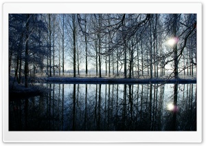 Reflection In Kromme Rijn River Ultra HD Wallpaper for 4K UHD Widescreen desktop, tablet & smartphone