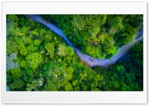 Relaxing Boat Ride through the Forest 4K UHD Wallpaper for Widescreen and UltraWide Desktop, UltraHD TV, Smartphone, Tablet