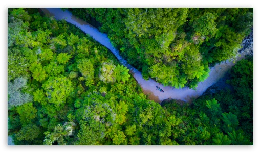 Relaxing Boat Ride through the Forest UltraHD Wallpaper for UHD 16:9 ; HD 16:9 ;