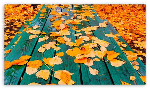 Relaxing terrace 4K UHD Background Wallpaper for UltraHD Desktop and TV : Smartphone and Tablet Devices