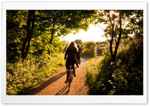 Renesse, Zeeland Ultra HD Wallpaper for 4K UHD Widescreen desktop, tablet & smartphone
