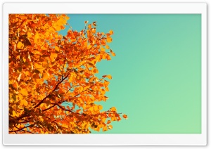 Retro Autumn Ultra HD Wallpaper for 4K UHD Widescreen desktop, tablet & smartphone