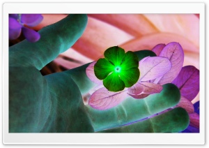 Reversed Colored Flower 4K UHD Wallpaper for Widescreen and UltraWide Desktop, UltraHD TV, Smartphone, Tablet