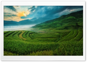 Rice Terraces Ultra HD Wallpaper for 4K UHD Widescreen desktop, tablet & smartphone