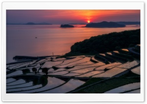 Rice Terraces at Sunset Ultra HD Wallpaper for 4K UHD Widescreen desktop, tablet & smartphone