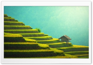 Rice Terraces Mountain Landscape Ultra HD Wallpaper for 4K UHD Widescreen desktop, tablet & smartphone