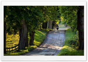 Ride, Country Road, Trees, Summer Ultra HD Wallpaper for 4K UHD Widescreen desktop, tablet & smartphone
