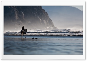 Riding On The Beach Ultra HD Wallpaper for 4K UHD Widescreen desktop, tablet & smartphone