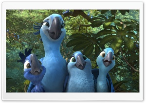 Rio 2 Jewel and Kids Ultra HD Wallpaper for 4K UHD Widescreen desktop, tablet & smartphone
