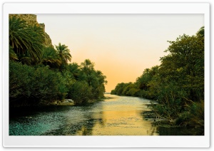 River And Palm Trees Ultra HD Wallpaper for 4K UHD Widescreen desktop, tablet & smartphone