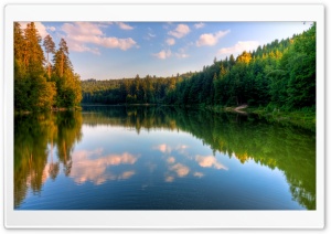 River, Forest Ultra HD Wallpaper for 4K UHD Widescreen desktop, tablet & smartphone