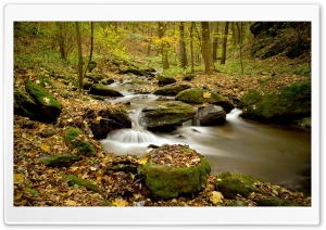 River Forest, Autumn Ultra HD Wallpaper for 4K UHD Widescreen desktop, tablet & smartphone