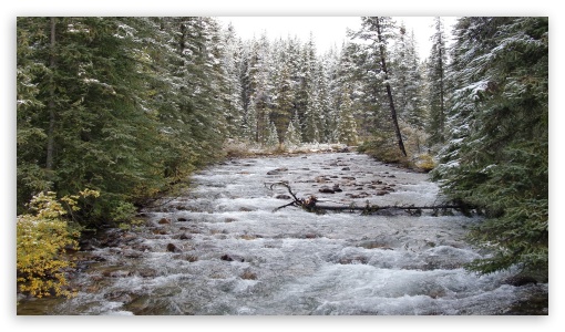 River in Canada UltraHD Wallpaper for HD 16:9 ;