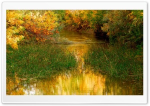 River Nature Ultra HD Wallpaper for 4K UHD Widescreen desktop, tablet & smartphone