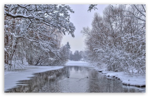 River With Frozen Shores Trees UltraHD Wallpaper for HD 16:9 ; Widescreen 16:10 5:3 ; Fullscreen 4:3 5:4 3:2 ; Tablet 1:1 ; Mobile 3:5 3:4 ; Dual 16:10 5:3 16:9 4:3 5:4 ;