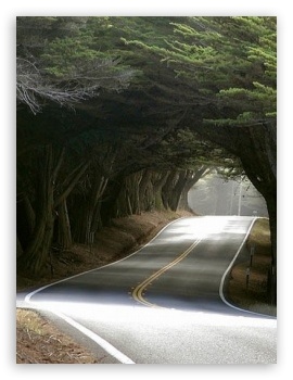 Road 1 UltraHD Wallpaper for Mobile 3:4 ;