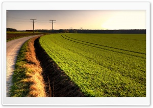Road And Grass Ultra HD Wallpaper for 4K UHD Widescreen desktop, tablet & smartphone