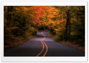 Road, Autumn, Travel Ultra HD Wallpaper for 4K UHD Widescreen Desktop, Lockscreen, Screensaver, TV, Tablet, Smartphone