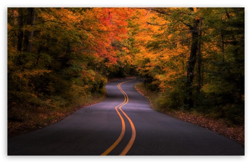 Road, Autumn, Travel UltraHD Wallpaper for HD 16:9 ; UltraWide 21:9 24:10 ; Widescreen 16:10 5:3 ; Fullscreen 4:3 5:4 3:2 ; Tablet 1:1 ; Mobile 9:16 9:19.5 9:20 10:16 2:3 3:5 3:4 ;