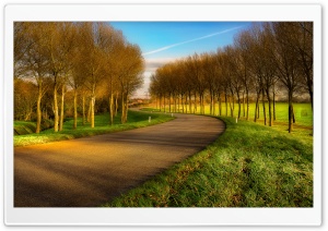 Road Between Field And Forest Ultra HD Wallpaper for 4K UHD Widescreen desktop, tablet & smartphone
