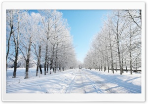 Road Covered With Snow Ultra HD Wallpaper for 4K UHD Widescreen desktop, tablet & smartphone