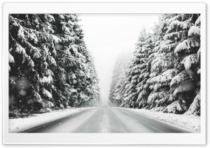 Road, Forest, Snow, Winter Landscape, Black and White Ultra HD Wallpaper for 4K UHD Widescreen desktop, tablet & smartphone