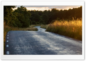 Road, Grass, Golden Sunset Ultra HD Wallpaper for 4K UHD Widescreen desktop, tablet & smartphone