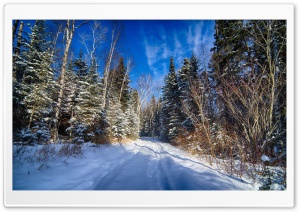 Road In Forest Under Blue Sky Ultra HD Wallpaper for 4K UHD Widescreen Desktop, Lockscreen, Screensaver, TV, Tablet, Smartphone