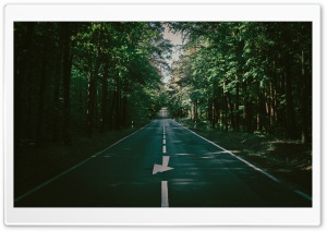 Road in the Woods 4K UHD Wallpaper for Widescreen and UltraWide Desktop, UltraHD TV, Smartphone, Tablet