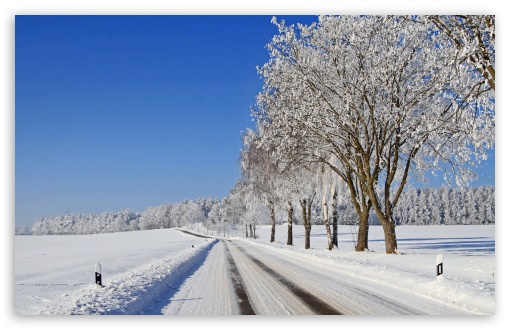 Road In Winter Field Frost On Trees UltraHD Wallpaper for HD 16:9 ; Widescreen 16:10 5:3 ;