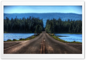 Road In Yellowstone, Montana Ultra HD Wallpaper for 4K UHD Widescreen desktop, tablet & smartphone